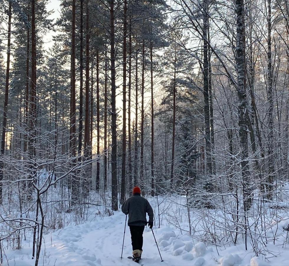 Linkkumylly Cottages Mäntyharju Eksteriør bilde