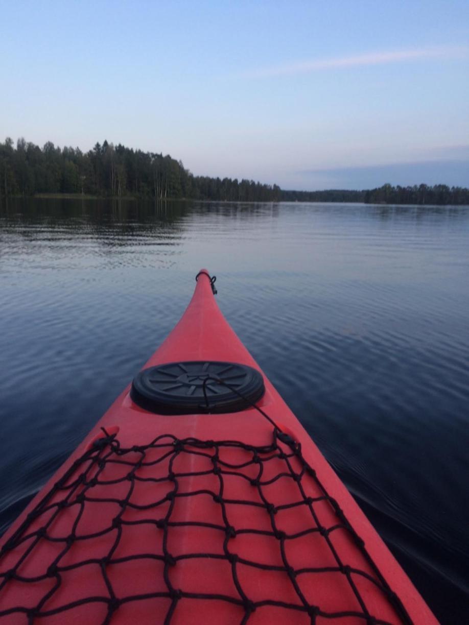 Linkkumylly Cottages Mäntyharju Eksteriør bilde