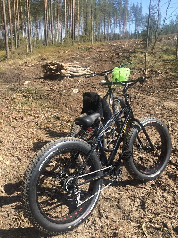 Linkkumylly Cottages Mäntyharju Eksteriør bilde